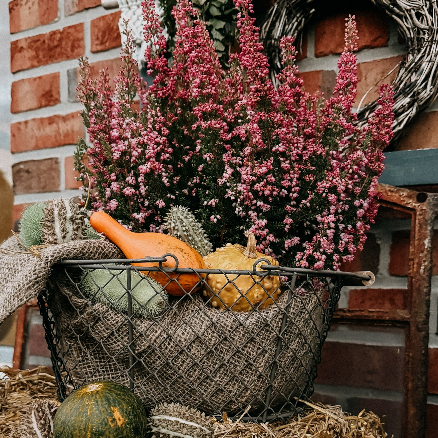 Jana Köter von Fabulous Plotterlove hat einen Pflanztisch mit Stroh, Kürbissen und Heide herbstlich dekoriert.