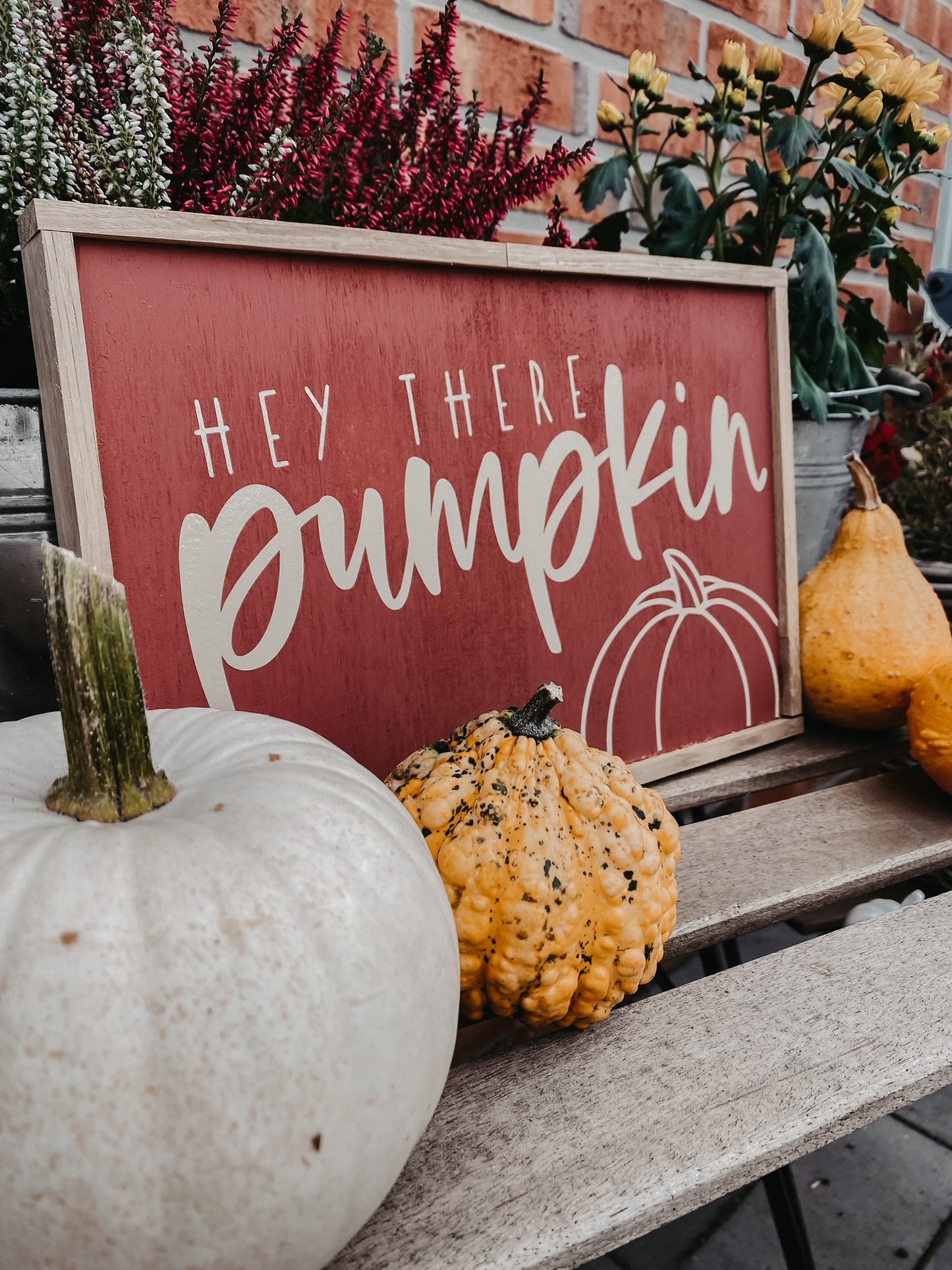 Plotterdatei Herbst - hey there pumpkin